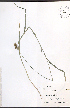  ( - TAH255)  @11 [ ] CreativeCommons - Attribution  Unspecified Centre for Biodiversity Genomics