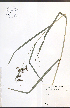  ( - TAH263)  @11 [ ] CreativeCommons - Attribution  Unspecified Centre for Biodiversity Genomics