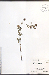  ( - TAH276)  @11 [ ] CreativeCommons - Attribution  Unspecified Centre for Biodiversity Genomics