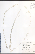  ( - TAH321)  @11 [ ] CreativeCommons - Attribution  Unspecified Centre for Biodiversity Genomics