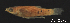  ( - LBPV-9180)  @11 [ ] Unspecified (default): All Rights Reserved  Unspecified Unspecified