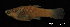  ( - LBPV-9181)  @11 [ ] Unspecified (default): All Rights Reserved  Unspecified Unspecified