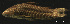  ( - LBPV-16094)  @11 [ ] Unspecified (default): All Rights Reserved  Unspecified Unspecified