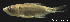  ( - LBPV-29353)  @14 [ ] Unspecified (default): All Rights Reserved  Unspecified Unspecified