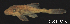  ( - LBPV-29354)  @13 [ ] Unspecified (default): All Rights Reserved  Unspecified Unspecified