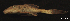  ( - LBPV-29355)  @13 [ ] Unspecified (default): All Rights Reserved  Unspecified Unspecified