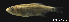  ( - LBPV-29400)  @13 [ ] Unspecified (default): All Rights Reserved  Unspecified Unspecified