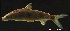  ( - LBPV-29071)  @12 [ ] Unspecified (default): All Rights Reserved  Unspecified Unspecified