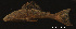 ( - LBPV-29111)  @13 [ ] Unspecified (default): All Rights Reserved  Unspecified Unspecified