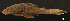  ( - LBPV-29112)  @13 [ ] Unspecified (default): All Rights Reserved  Unspecified Unspecified