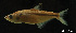  ( - LBPV-29104)  @13 [ ] Unspecified (default): All Rights Reserved  Unspecified Unspecified