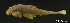  ( - LBPV-37791)  @11 [ ] Unspecified (default): All Rights Reserved  Unspecified Unspecified