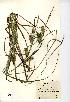  ( - NMW7954)  @11 [ ] CreativeCommons - Attribution (2012) National Museum Wales National Museum Wales