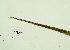  ( - REU029719)  @11 [ ] CC-BY-NC-SA (2024) Unspecified PVBMT Research Unit, University of Reunion, CIRAD