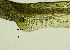  ( - REU029719)  @11 [ ] CC-BY-NC-SA (2024) Unspecified PVBMT Research Unit, University of Reunion, CIRAD
