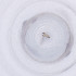  ( - MOZZ00000916A_C11)  @11 [ ] by  Genome Research Ltd as Wellcome Sanger Institute Genome Research Limited operating as Wellcome Sanger Institute