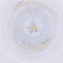 ( - MOZZ00000917A_A5)  @11 [ ] by  Genome Research Ltd as Wellcome Sanger Institute Genome Research Limited operating as Wellcome Sanger Institute