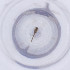  ( - MOZZ00000917A_C3)  @11 [ ] by  Genome Research Ltd as Wellcome Sanger Institute Genome Research Limited operating as Wellcome Sanger Institute
