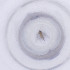  ( - MOZZ00000917A_D8)  @11 [ ] by  Genome Research Ltd as Wellcome Sanger Institute Genome Research Limited operating as Wellcome Sanger Institute