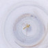  ( - MOZZ00000917A_H7)  @11 [ ] by  Genome Research Ltd as Wellcome Sanger Institute Genome Research Limited operating as Wellcome Sanger Institute