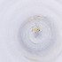  ( - MOZZ00000919A_F10)  @11 [ ] by  Genome Research Ltd as Wellcome Sanger Institute Genome Research Limited operating as Wellcome Sanger Institute