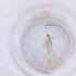  ( - MOZZ00000922A_G11)  @11 [ ] by  Genome Research Ltd as Wellcome Sanger Institute Genome Research Limited operating as Wellcome Sanger Institute