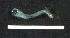  ( - sample_freu0g9)  @11 [ ] No Rights Reserved (2013) Herwig Waidbacher BOKU Vienna, Department of Water-Atmosphere-Environment