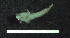  ( - sample_freu0h2)  @12 [ ] No Rights Reserved (2013) Herwig Waidbacher BOKU Vienna, Department of Water-Atmosphere-Environment