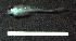  ( - sample_freu002)  @11 [ ] No Rights Reserved (2013) Herwig Waidbacher BOKU Vienna, Department of Water-Atmosphere-Environment