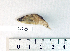  ( - MX625)  @11 [ ] Unspecified (default): All Rights Reserved  Unspecified Unspecified