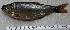  ( - MX858)  @13 [ ] Unspecified (default): All Rights Reserved  Unspecified Unspecified