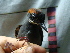  ( - GUY0052-EP)  @12 [ ] Unspecified (default): All Rights Reserved  No Rights Reserved Unspecified