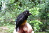  ( - GUY0064-EP)  @14 [ ] Unspecified (default): All Rights Reserved  No Rights Reserved Unspecified