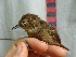  ( - GUY0080-EP)  @14 [ ] Unspecified (default): All Rights Reserved  No Rights Reserved Unspecified