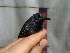  ( - GUY0085-EP)  @13 [ ] Unspecified (default): All Rights Reserved  No Rights Reserved Unspecified