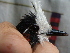  ( - GUY0091-EP)  @11 [ ] Unspecified (default): All Rights Reserved  No Rights Reserved Unspecified