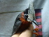  ( - GUY0092-EP)  @11 [ ] Unspecified (default): All Rights Reserved  No Rights Reserved Unspecified