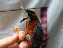  ( - GUY0094-EP)  @11 [ ] Unspecified (default): All Rights Reserved  No Rights Reserved Unspecified
