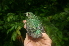  ( - GUY0153-EP)  @14 [ ] Unspecified (default): All Rights Reserved  No Rights Reserved Unspecified
