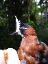  ( - GUY0154-EP)  @11 [ ] Unspecified (default): All Rights Reserved  No Rights Reserved Unspecified