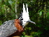  ( - GUY0162-EP)  @11 [ ] Unspecified (default): All Rights Reserved  No Rights Reserved Unspecified