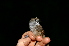  ( - GUY0190-EP)  @13 [ ] Unspecified (default): All Rights Reserved  No Rights Reserved Unspecified