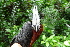  ( - GUY0222-EP)  @11 [ ] Unspecified (default): All Rights Reserved  No Rights Reserved Unspecified