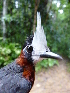  ( - GUY0226-EP)  @11 [ ] Unspecified (default): All Rights Reserved  No Rights Reserved Unspecified