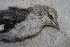  ( - GUY0361-EP)  @12 [ ] Unspecified (default): All Rights Reserved  No Rights Reserved Unspecified