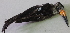  ( - GUY0712-EP)  @11 [ ] Unspecified (default): All Rights Reserved  No Rights Reserved Unspecified