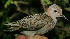  ( - GUY0738-EP)  @11 [ ] Unspecified (default): All Rights Reserved  No Rights Reserved Unspecified