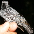  ( - GUY0748-EP)  @13 [ ] Unspecified (default): All Rights Reserved  No Rights Reserved Unspecified