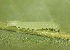  ( - FRC00349)  @11 [ ] CreativeCommons - Attribution Non-Commercial Share-Alike (2017) Carlo L. Seifert Institute of Entomology, Biology Centre CAS, Ceske Budejovice