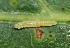  ( - FRC41520)  @12 [ ] CreativeCommons - Attribution Non-Commercial Share-Alike (2017) Carlo L. Seifert Institute of Entomology, Biology Centre CAS, Ceske Budejovice